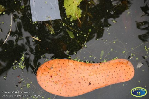 2025-09-13 RK IMG 7207